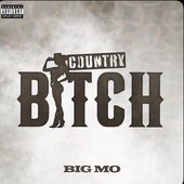 Country Bitch - Single