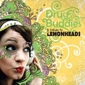 Drug Buddies: A Tribute To The Lemonheads
