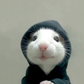 Avatar for vickeyminsz