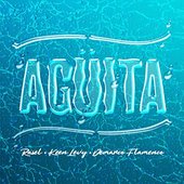 Agüita (feat. Keen Levy, Demarco Flamenco)