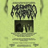 Mephitic Corpse - Immense Thickening Vomit [Demo] (2019)