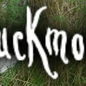 Huckmole logo