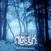 Soul Disintegration