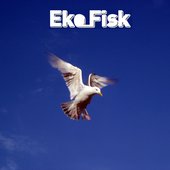 eko_fisk