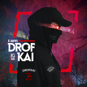 Drofkai Profile photo.png