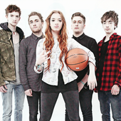 Marmozets 2014