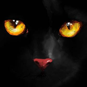Avatar for VicenteVirtual
