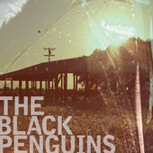 The Black Penguins \"Mark it Zero\"