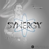 Synergy - Single