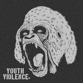 Youth Violence