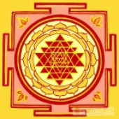 Avatar for vastutip