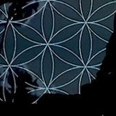DUP_SYS.png