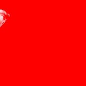 430018_380895325272927_1068980904_n.jpg