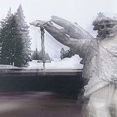 0F7276DB-D162-439C-9A33-9E3A7EC56F59.jpeg