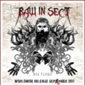RawInSect için avatar