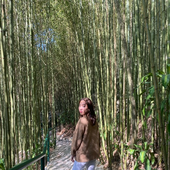asvpjayne 的头像