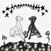 piel / krav magá [Explicit]