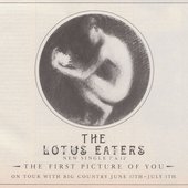The Lotus Eaters - The First Picture of You (1983)
