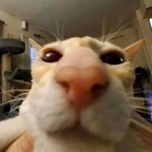 Avatar for moony360