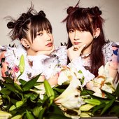 IMG_3258.PNG