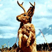 Avatar for mils