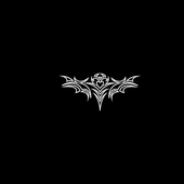Shadowrsk 的头像