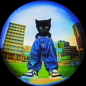 catwithbigpants 的头像