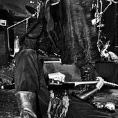 NOCTEM 