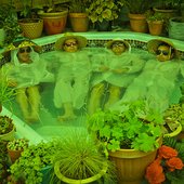 Lavender-Flu-band-2018.jpg