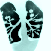 LastFM profile picture for @Circular