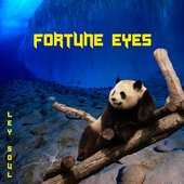 Fortune Eyes