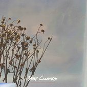 Unfinished Nature