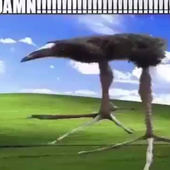 lucamf_ 的头像
