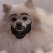 Avatar for disco2000s