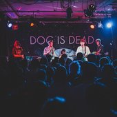 Dog is Dead @Fruit, Hull