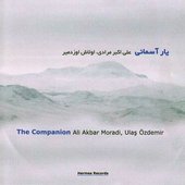 The Companion