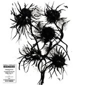 Improperis (compositions et enregistrements magnétiques 1984-2024)