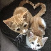 ♡