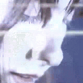 my bloody valentine