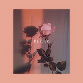 B L E /\ K Cover
