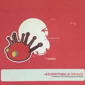 everythingisorange.jpg