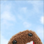 Avatar for AniiChan