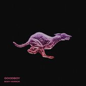 Goodboy - Single