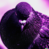 Avatar for OvO_Pigeon