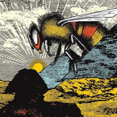 Avatar for thumb_head