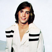 shaun cassidy png