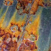 Sustenance Through Death