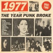 1977- The Year Punk Broke.jpg
