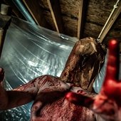 Feast on their fear 2.14