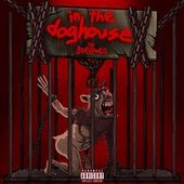 In the Doghouse